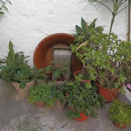 Casa Solariega En Centro De Vejer *